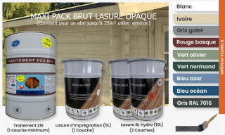 Maxi pack lasure BRUT BL Hydro couleurs